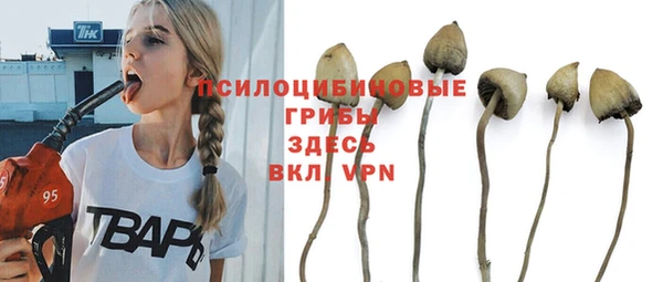 мескалин Белокуриха