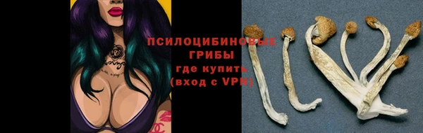 мескалин Белокуриха
