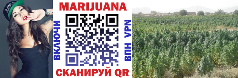 Канабис OG Kush Купить где Духовщина